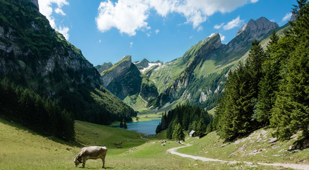 Sanolux wünscht Ihnen schöne Ferien